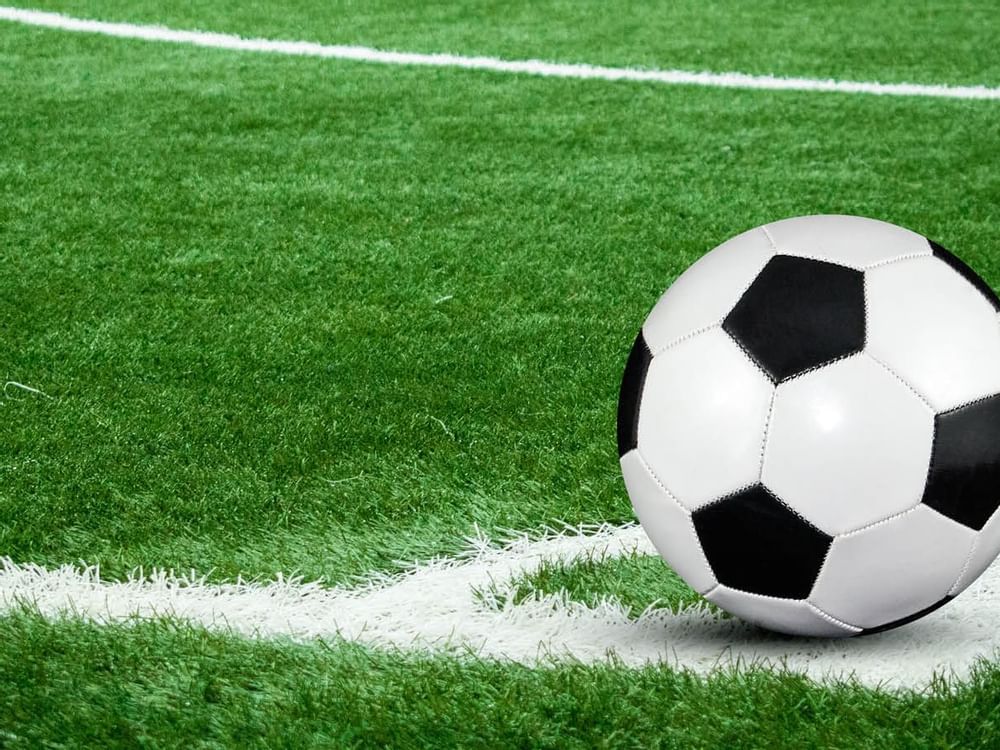 A black and white soccer ball rests on vibrant green artificial turf near Fiesta Inn